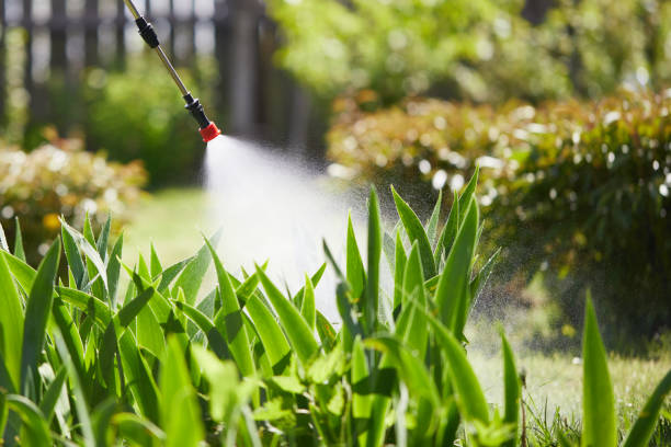 Tamper-Resistant Bait Stations for Rodents in West Sayville